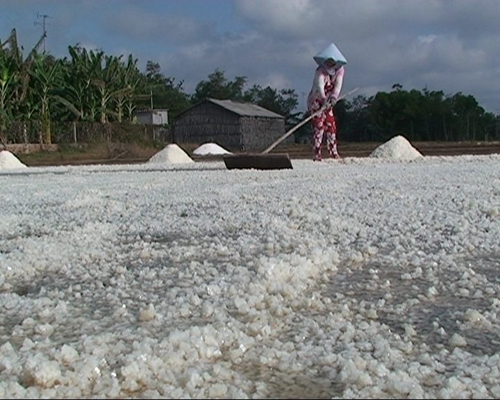 Mưa[-]trái[-]mùa[-]gây[-]thiệt[-]hại[-]cho[-]người[-]làm[-]muối[-]Bến[-]Tre
