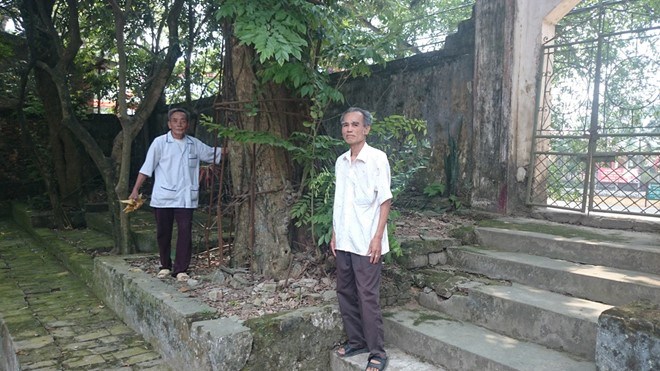 Hà[-]Nội:[-]Người[-]dân[-]thay[-]phiên[-]nhau[-]“canh[-]gác”[-]hai[-]gốc[-]cây[-]sưa[-]có[-]giá[-]tiền[-]tỉ