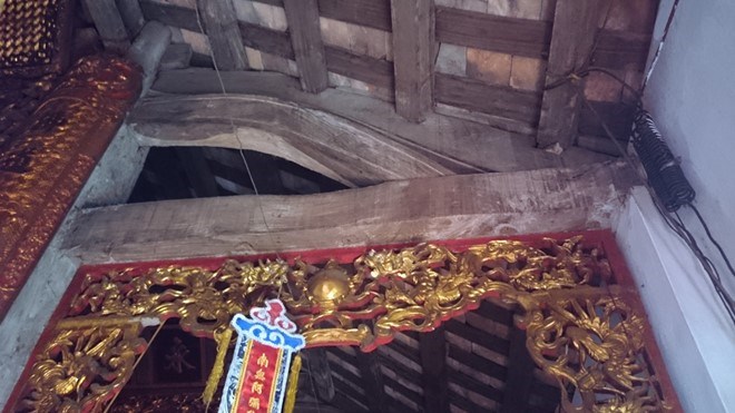 Hà[-]Nội:[-]Người[-]dân[-]thay[-]phiên[-]nhau[-]“canh[-]gác”[-]hai[-]gốc[-]cây[-]sưa[-]có[-]giá[-]tiền[-]tỉ