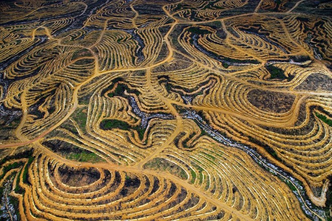 Những[-]hình[-]ảnh[-]biểu[-]hiện[-]môi[-]trường[-]bị[-]tàn[-]phá[-]trên[-]hành[-]tinh
