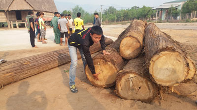 [-]Chính[-]quyền[-]ngó[-]lơ,[-]dân[-]bắt[-]lâm[-]tặc
