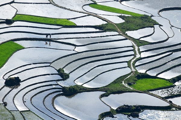 Vẻ[-]đẹp[-]Sa[-]Pa[-]quyến[-]rũ[-]mùa[-]nước[-]đổ
