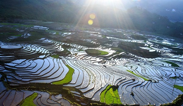 Vẻ[-]đẹp[-]Sa[-]Pa[-]quyến[-]rũ[-]mùa[-]nước[-]đổ