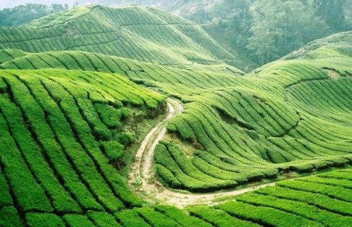 Bắc[-]Bộ[-]và[-]Trung[-]Bộ[-]thời[-]tiết[-]tốt,[-]Nam[-]Bộ[-]và[-]Tây[-]Nguyên[-]đề[-]phòng[-]tố[-]lốc,[-]mưa[-]đá[-]và[-]gió[-]giật[-]mạnh[-]