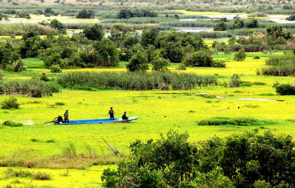 RAMSAR[-]kêu[-]cứu:[-]Vùng[-]đất[-]ngập[-]nước[-]cũng[-]khô[-]hạn