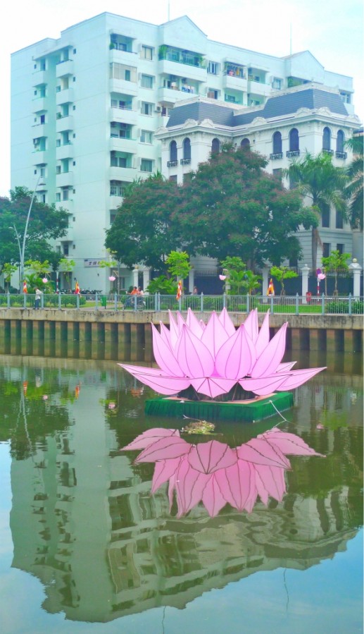 "Soi bóng" - Ảnh dự thi của Đoàn Thị Lệ Quyên