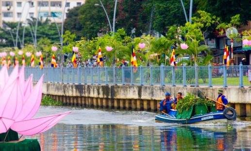 "Nhiêu Lộc - Bên trong sự lột xác" - Ảnh dự thi của Lê Thị Thảo