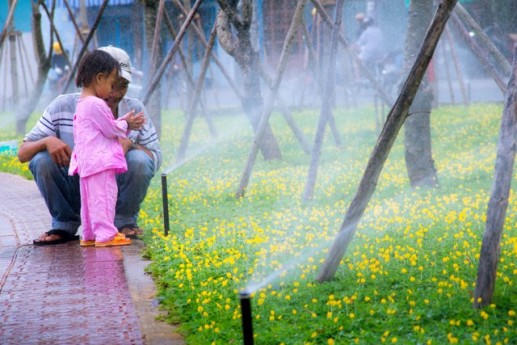 "Vui chơi ở kênh Nhiêu Lộc" - Ảnh dự thi của Lê Thị Thảo