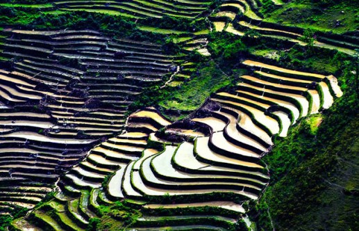 Du ngoạn Tây Bắc mùa đổ nước
