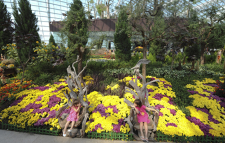Vườn[-]nhân[-]tạo[-]“Autumn[-]Harverst”[-]trên[-]đảo[-]quốc[-]Singapore