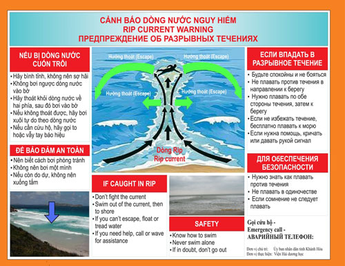 Nhiều[-]dòng[-]“tử[-]thần”[-]ở[-]bãi[-]biển4