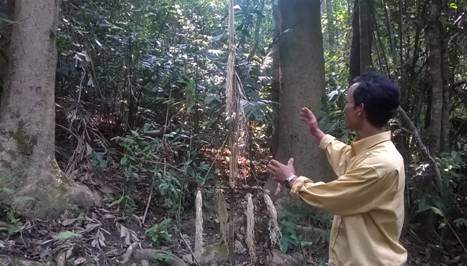 “Miền[-]núi[-]mới”