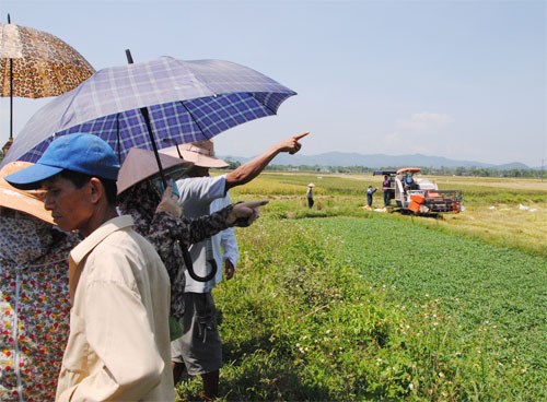 "Ép[-]dân"[-]gặt[-]lúa[-]bằng[-]máy[-]do[-]hợp[-]tác[-]xã[-]hợp[-]đồng?[-]
