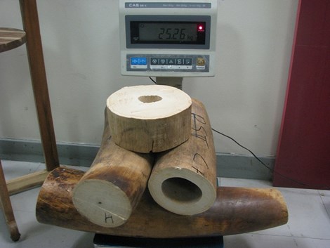 Việt[-]Nam[-]nhận[-]giải[-]thưởng[-]thực[-]thi[-]pháp[-]luật[-]về[-]môi[-]trường[-]Châu[-]Á