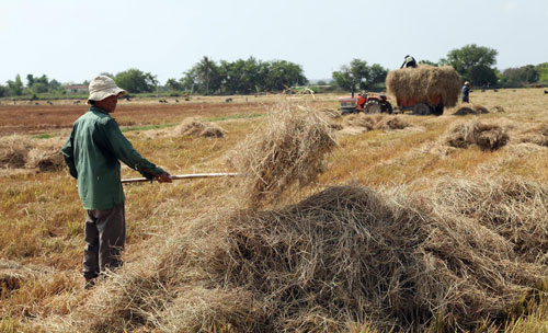 Ninh Thuận: Chạy hạn trong chảo lửa