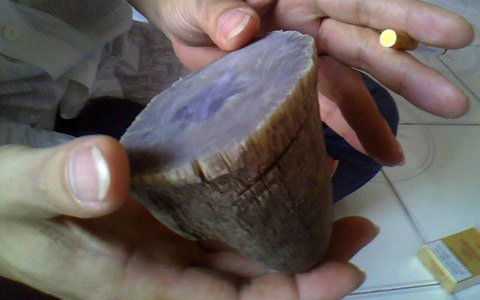Cần[-]chung[-]tay[-]phản[-]đối[-]kế[-]hoạch[-]“hợp[-]pháp[-]hóa”[-]buôn[-]bán[-]sừng[-]tê[-]giác