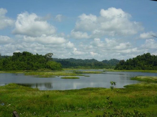 Hè[-]lên[-]Cát[-]Tiên[-]ngủ[-]rừng[-]