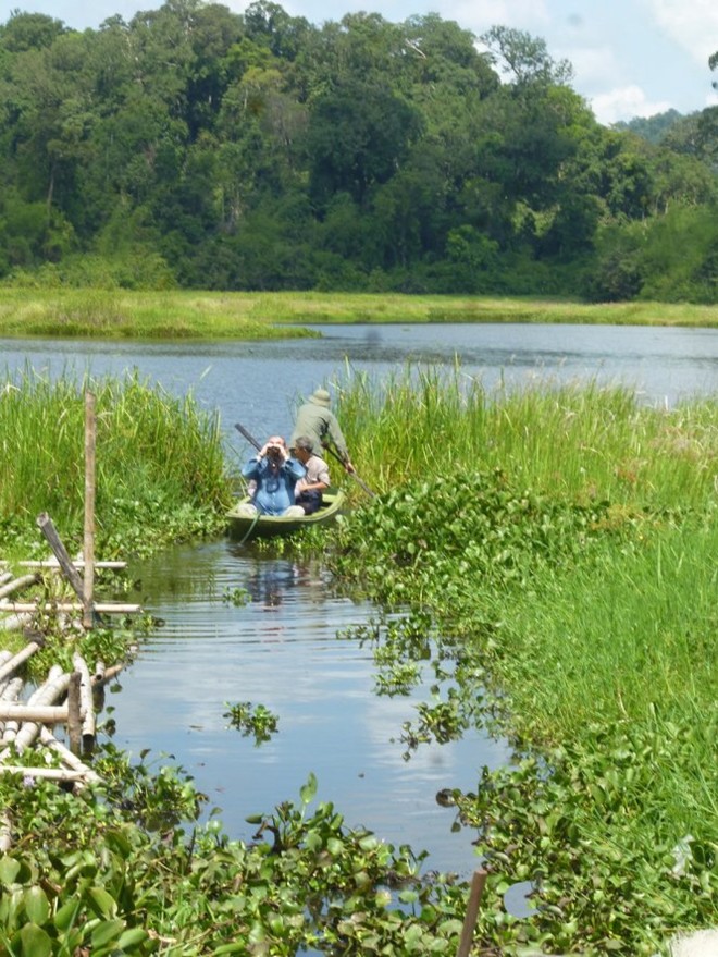 Hè[-]lên[-]Cát[-]Tiên[-]ngủ[-]rừng[-]