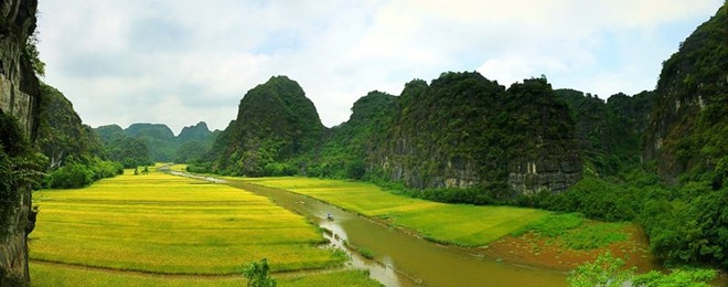 [-]Mùa[-]vàng[-]ở[-]Tam[-]Cốc