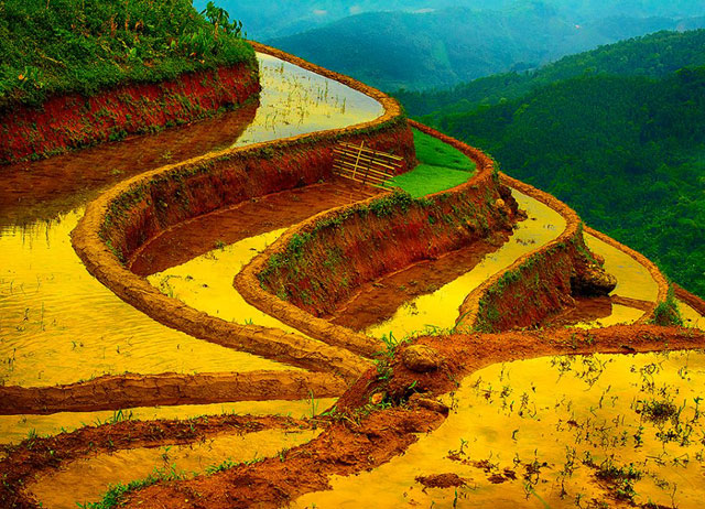 [-]Du[-]ngoạn[-]Tây[-]Bắc[-]mùa[-]đổ[-]nước