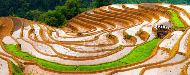 [-]Du[-]ngoạn[-]Tây[-]Bắc[-]mùa[-]đổ[-]nước