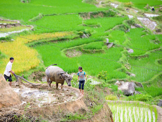 [-]Du[-]ngoạn[-]Tây[-]Bắc[-]mùa[-]đổ[-]nước