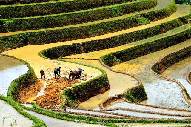 [-]Du[-]ngoạn[-]Tây[-]Bắc[-]mùa[-]đổ[-]nước