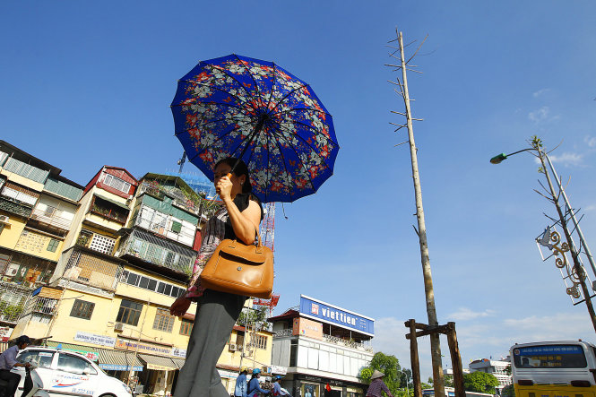 Vụ[-]chặt[-]cây[-]xanh[-]tại[-]Hà[-]Nội:[-]Kiểm[-]điểm[-]lãnh[-]đạo[-]trước[-]30-6
