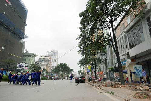 Thanh[-]tra[-]kiến[-]nghị[-]kỷ[-]luật[-]lãnh[-]đạo[-]Sở[-]Xây[-]dựng[-]Hà[-]Nội[-]trong[-]việc[-]thay[-]thế[-]cây[-]xanh
