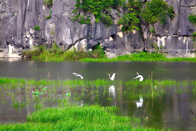 [-]Khám[-]phá[-]cảnh[-]tuyệt[-]đẹp[-]của[-]Đầm[-]Vân[-]Long