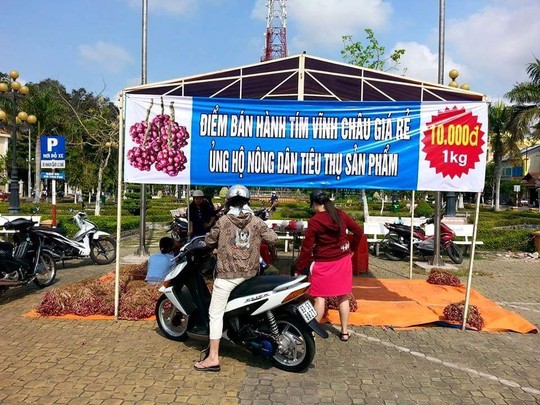 [-]Hành[-]tím[-]Vĩnh[-]Châu[-]tăng[-]giá[-]gấp[-]5[-]lần,[-]xuất[-]hiện[-]nạn[-]găm[-]hàng