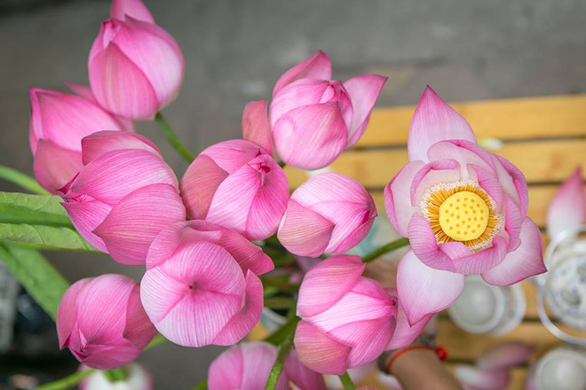 [-]Những[-]bình[-]hoa[-]đẹp[-]với[-]chi[-]phí[-]rẻ