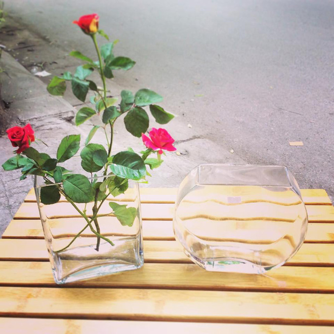 [-]Những[-]bình[-]hoa[-]đẹp[-]với[-]chi[-]phí[-]rẻ