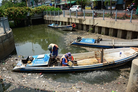 [-]TP[-]HCM:[-]Cá[-]chết[-]hàng[-]loạt[-]do[-]kênh[-]quá[-]dơ
