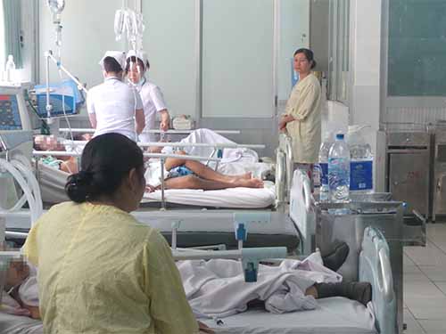 Nắng[-]nóng,[-]đột[-]quỵ[-]gia[-]tăng
