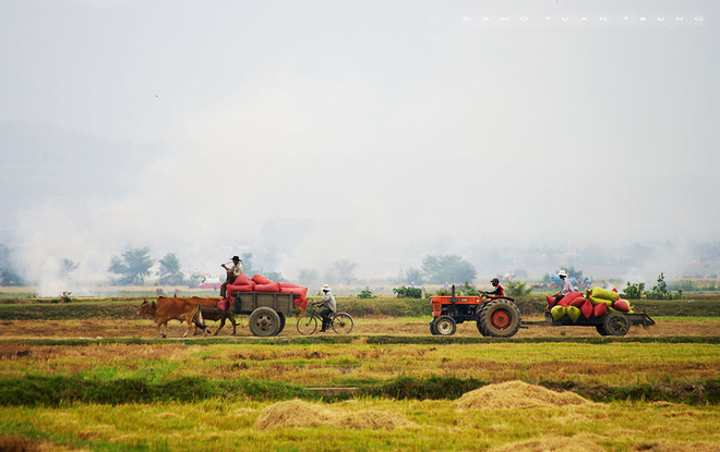 Chiêm[-]ngưỡng[-]vẻ[-]đẹp[-]của[-]đất[-]và[-]người[-]phương[-]Nam