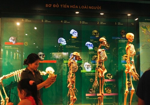 [-]Khám[-]phá[-]thiên[-]nhiên[-]giữa[-]lòng[-]Hà[-]Nội