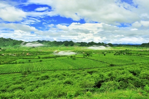 [-]Nắng[-]nóng[-]bao[-]trùm[-]Tây[-]Bắc[-]Bộ,[-]Thanh[-]Hóa[-]đến[-]Phú[-]Yên,[-]đề[-]phòng[-]thời[-]tiết[-]cực[-]đoan[-]ở[-]Tây[-]Nguyên[-]và[-]Nam[-]Bộ[-]