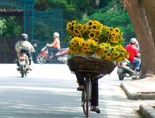 Tây[-]Bắc[-]Bộ,[-]Bắc[-]và[-]Trung[-]Trung[-]Bộ[-]nắng[-]nóng[-]có[-]nơi[-]trên[-]38[-]độ[-]C[-]kéo[-]dài[-]trong[-]2-3[-]ngày[-]tới[-]