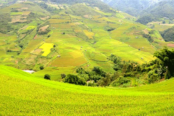 Bắc[-]Bộ[-]ngày[-]nắng[-]nóng,[-]đêm[-]mưa[-]dông[-]trên[-]diện[-]rộng[-]