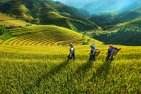[-]Vùng[-]núi[-]Bắc[-]bộ[-]có[-]mưa[-]to,[-]Trung[-]bộ[-]duy[-]trì[-]nắng[-]nóng[-]