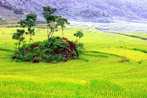Nhiều[-]khu[-]vực[-]có[-]nắng[-]nóng[-]cục[-]bộ,[-]Bắc[-]Bộ[-]có[-]mưa[-]rải[-]rác[-]vào[-]chiều[-]tối[-]