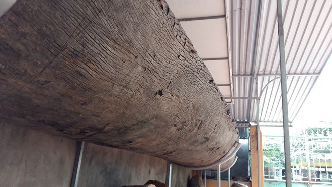 [-]Hạ[-]Long:[-]Chiêm[-]ngưỡng[-]con[-]thuyền[-]độc[-]mộc[-]cổ[-]và[-]lớn[-]nhất[-]thế[-]giới[-]còn[-]nguyên[-]vẹn