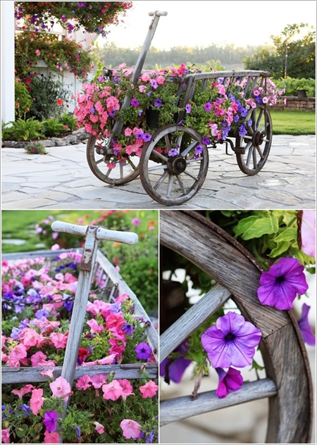 [-]Ấn[-]tượng[-]những[-]chiếc[-]xe[-]hoa[-]trong[-]vườn