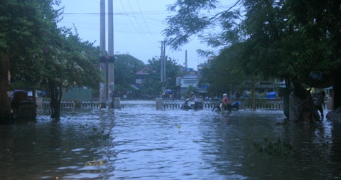 bão,[-]hải[-]phòng