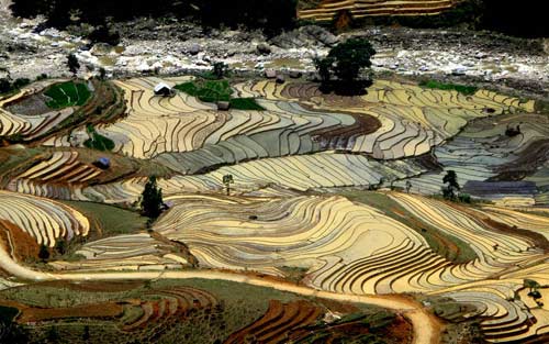 Tây[-]Bắc[-]mùa[-]nước[-]đổ,[-]Du[-]lịch,[-]Tay[-]bac,[-]dia[-]danh[-]dep,[-]du[-]lich,[-]du[-]lich[-]the[-]gioi,[-]canh[-]dep,[-]phong[-]canh[-]dep,[-]anh[-]thien[-]nhien,[-]anh[-]phong[-]canh,[-]wallpaper,[-]hinh[-]anh[-]dep,[-]bao,[-]tin[-]tuc,[-]hinh[-]dep
