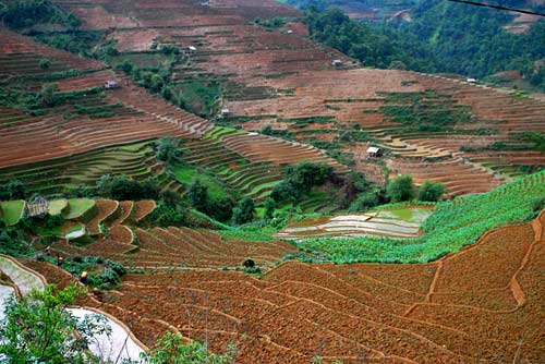 Tây[-]Bắc[-]mùa[-]nước[-]đổ,[-]Du[-]lịch,[-]Tay[-]bac,[-]dia[-]danh[-]dep,[-]du[-]lich,[-]du[-]lich[-]the[-]gioi,[-]canh[-]dep,[-]phong[-]canh[-]dep,[-]anh[-]thien[-]nhien,[-]anh[-]phong[-]canh,[-]wallpaper,[-]hinh[-]anh[-]dep,[-]bao,[-]tin[-]tuc,[-]hinh[-]dep