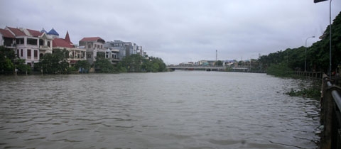 bão,[-]hải[-]phòng
