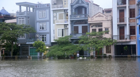 bão,[-]hải[-]phòng