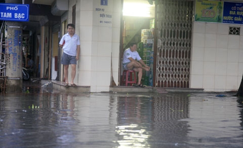bão,[-]hải[-]phòng